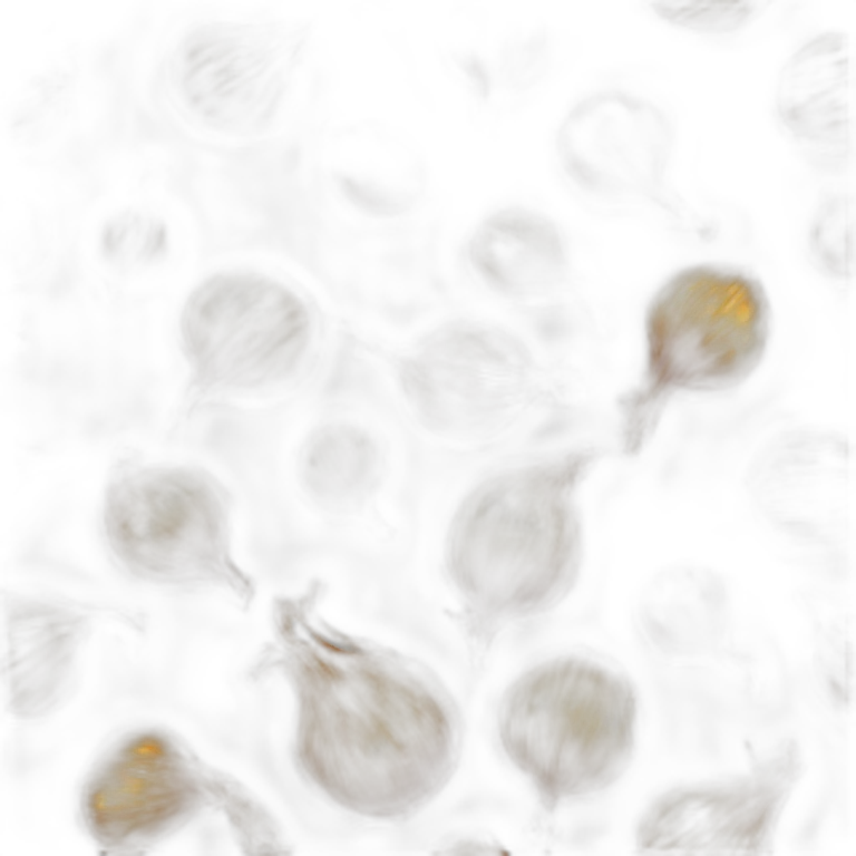 Caramelized Onions emoji