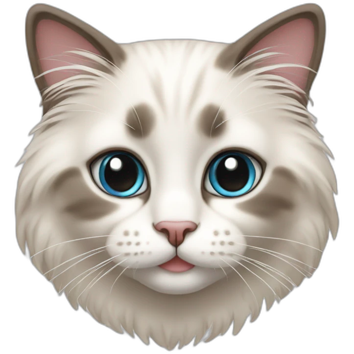 cute ragdoll cat emoji