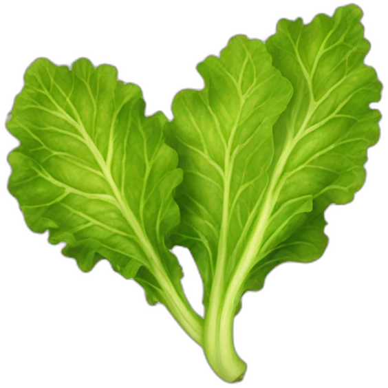 Gold spray painted lettuce leaf lettuce leaf emoji