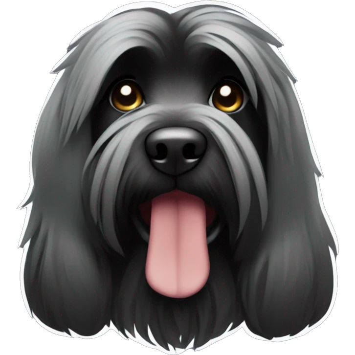 Briard couleur : noir emoji