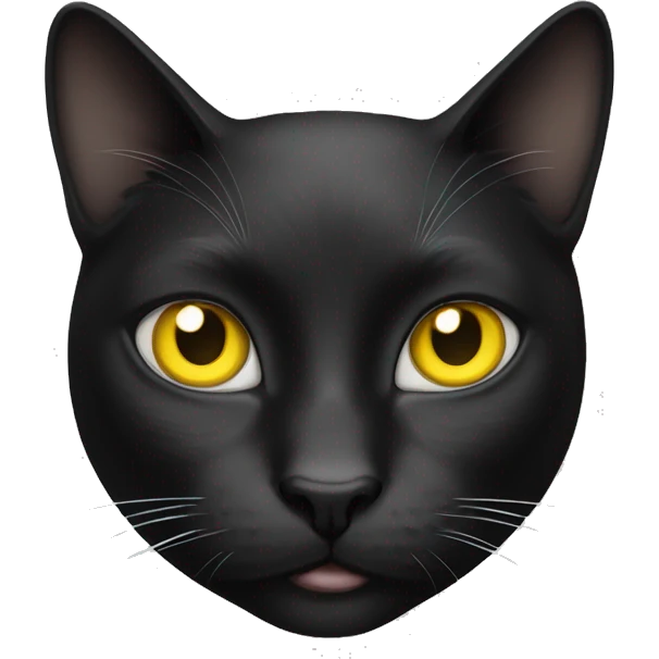 Black white cat with yellow eyes and patch over right eye emoji