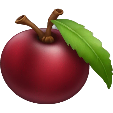 Cranberry  emoji