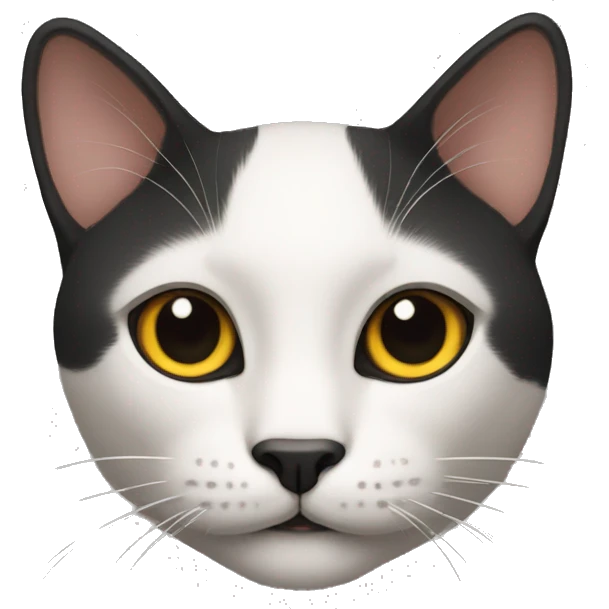 gato negro emoji