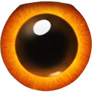 Fiery Eye of Sauron with orange iris. emoji