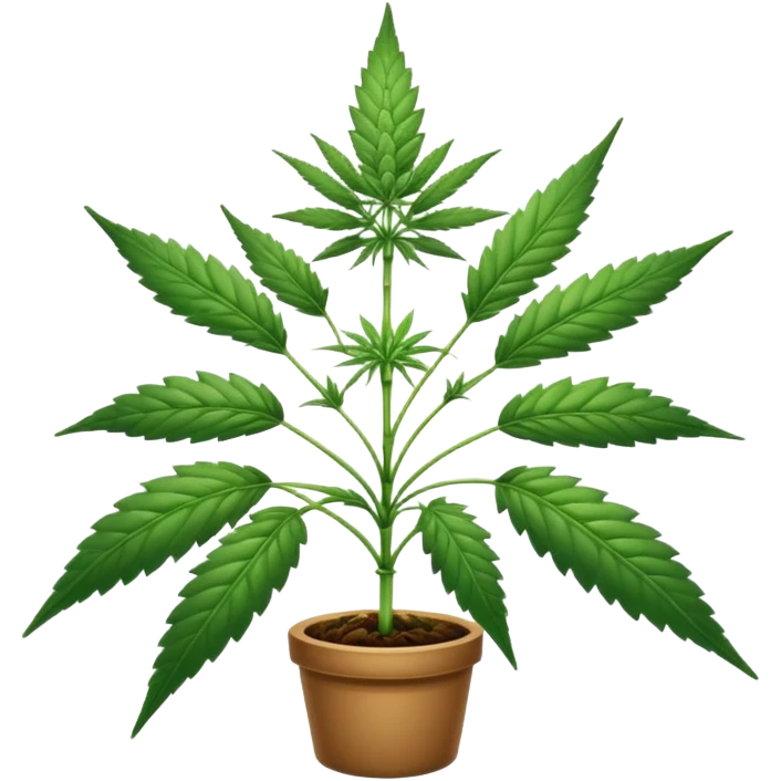 Cannabis emoji