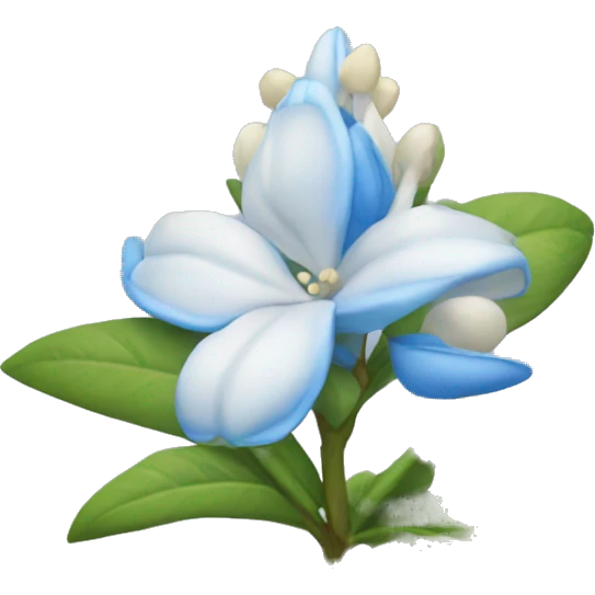 blue jasmine flower emoji