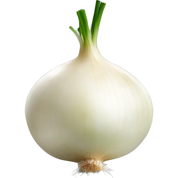 Cut white onion emoji