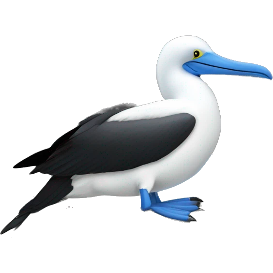 BLUE FOTTED BOOBY SLEEPING ON A ROCK emoji
