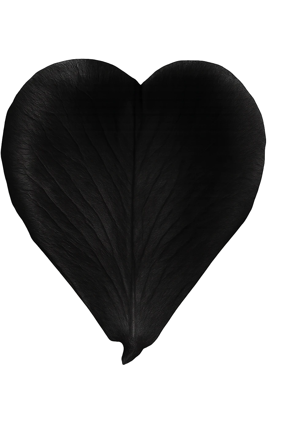 emo black rose petal emoji