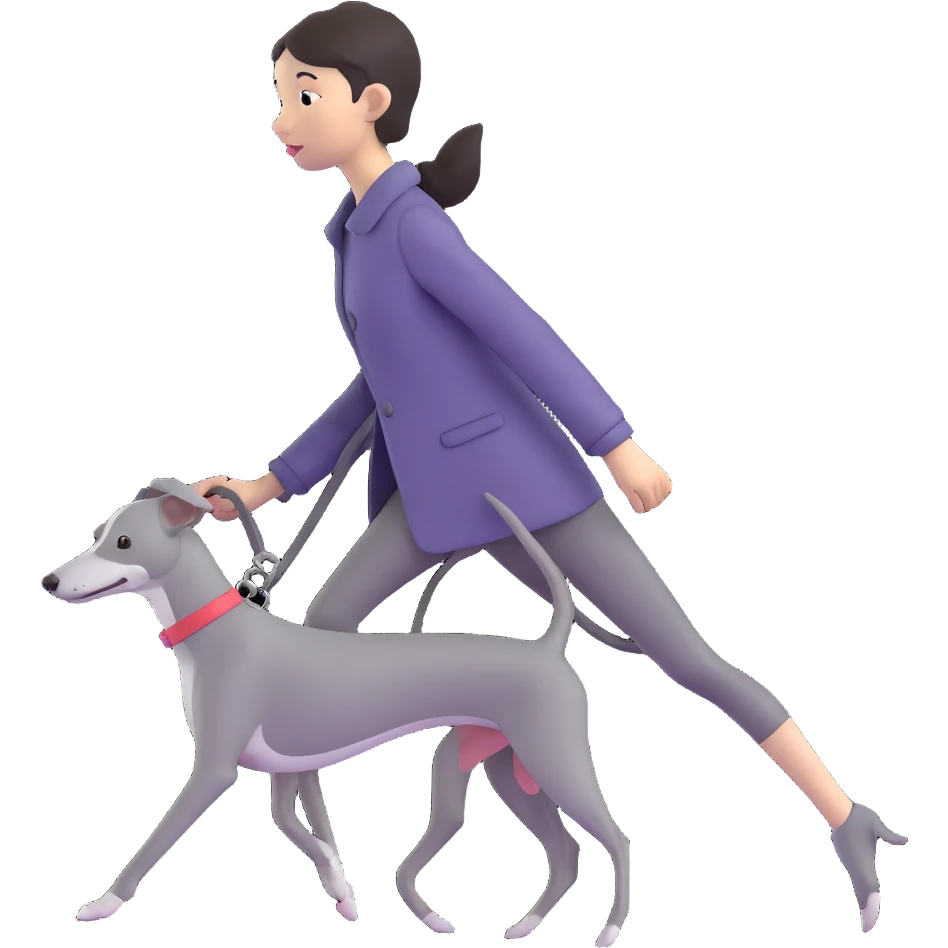 Beautiful Asian girl walking a completely solid grey Italian greyhound with a grey nose, no white markings anywhere, no white on the nose, pure grey dog emoji