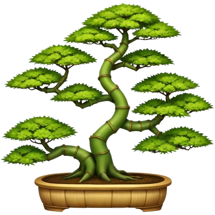 Tiered and twisted bamboo floor shelving unit stand displaying hair leaf maples and pine bonsai plants(in shallow bonsai pots)  emoji