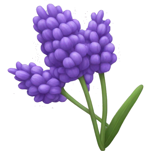 Lavender  emoji