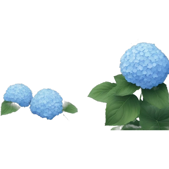 hydrangea in front of gray house  emoji