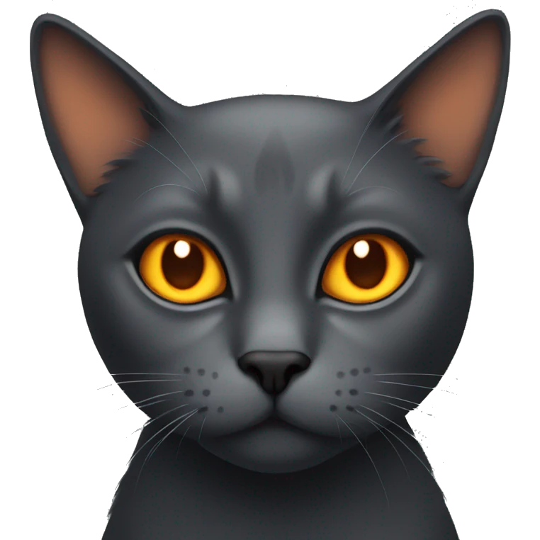 dark grey cat with orange eyes emoji