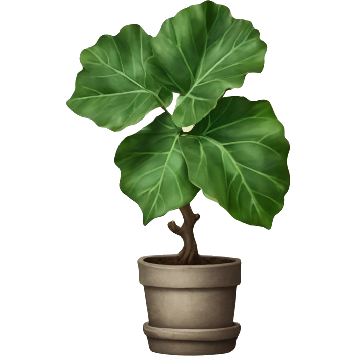 fiddle leaf with rustic plant pot emoji