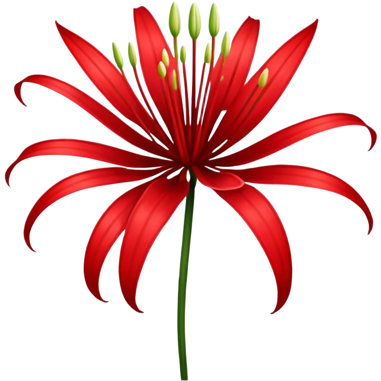 red spider lily emoji