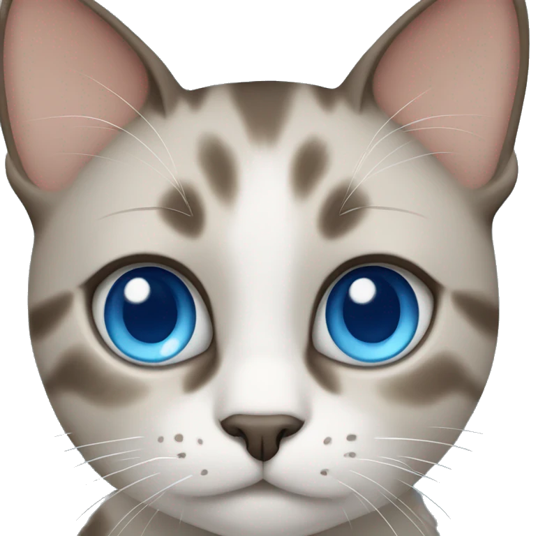 Cat with blue eyes  emoji
