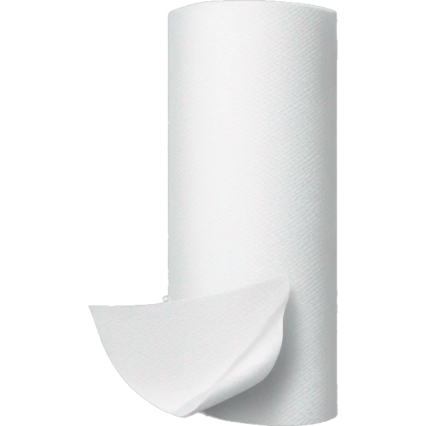paper towels emoji
