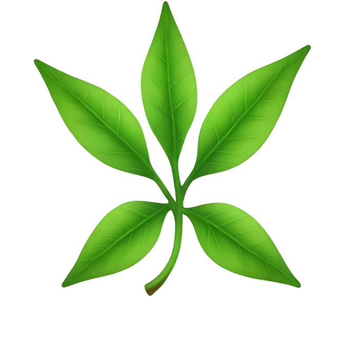healing leaf in plus shape emoji
