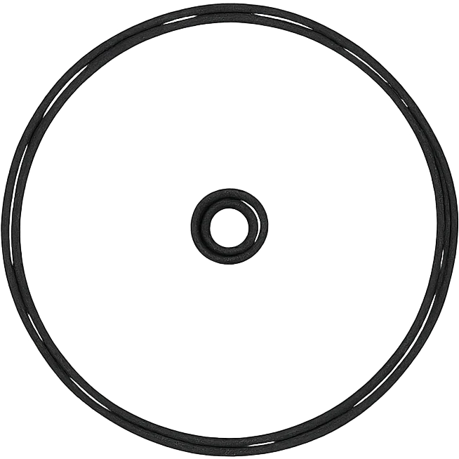 minimal monochrome icon of circle with dot in center black outline only emoji