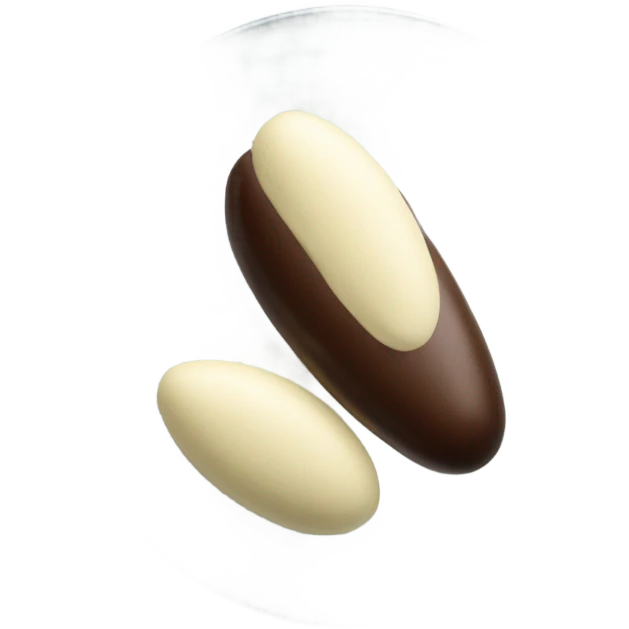 Chocolate and vanilla quenelle on glass plateemoji emoji