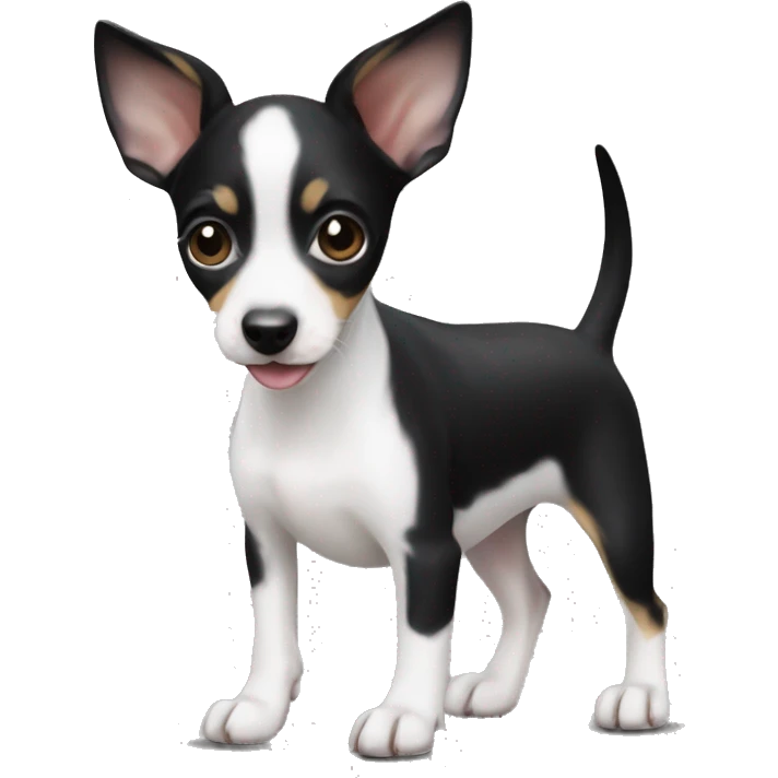 Black and white rat terrier puppy emoji