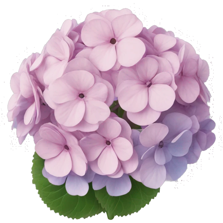 hortensia emoji