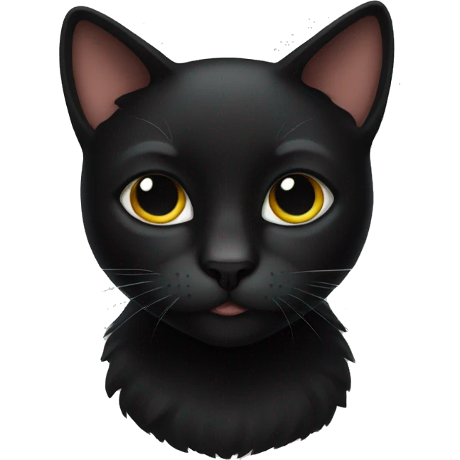 a black cat emoji