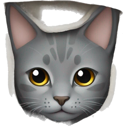 gray cat wrapped in a blanket emoji