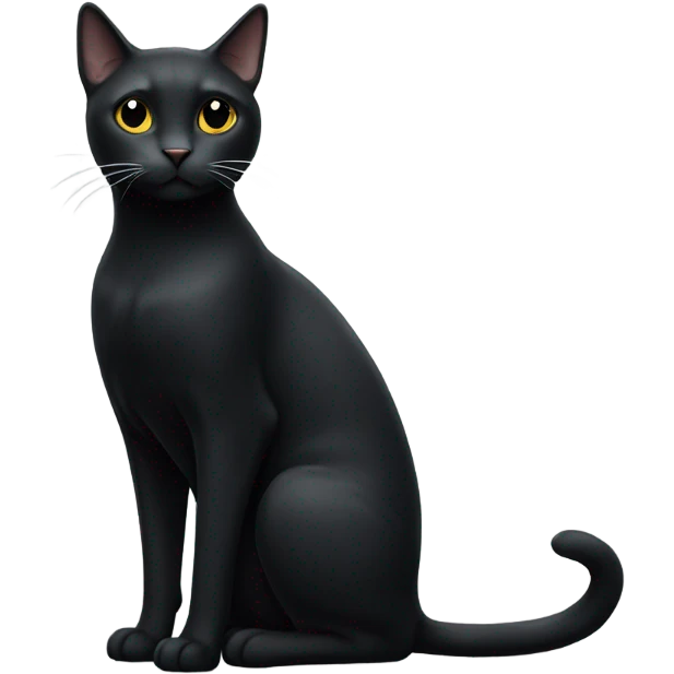 full body black cat with little white  spot under chin  emoji