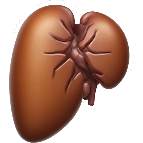 “A realistic image of a human liver, showing its smooth, reddish-brown texture, with clear anatomical details, and subtle shading to highlight its shape and depth.” emoji