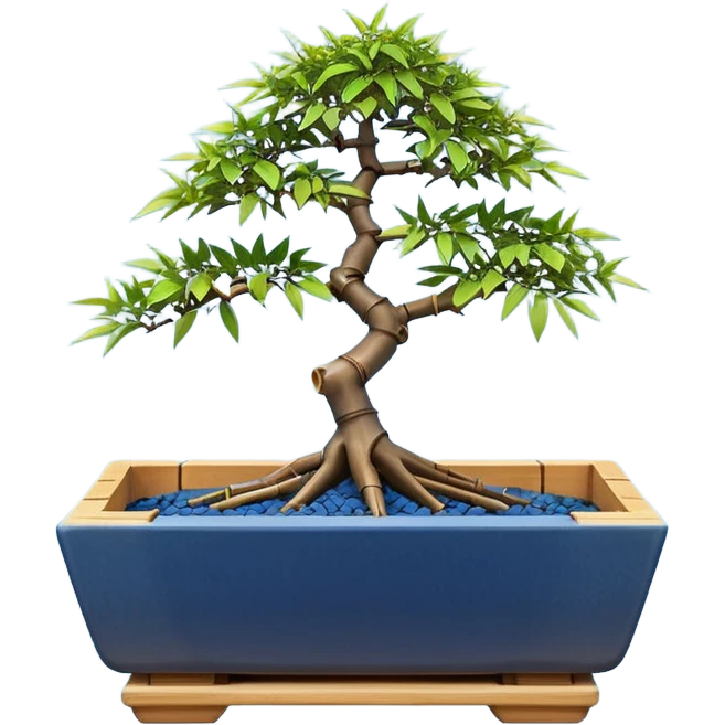 Japanese broken trapezoidal-shaped shallow dark bamboo blue maple tree bonsai pot emoji