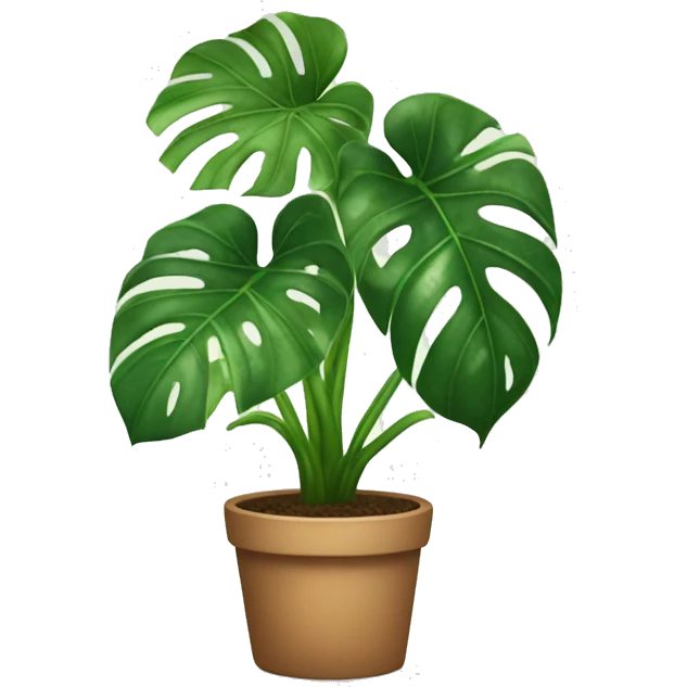 Monstera houseplant  emoji