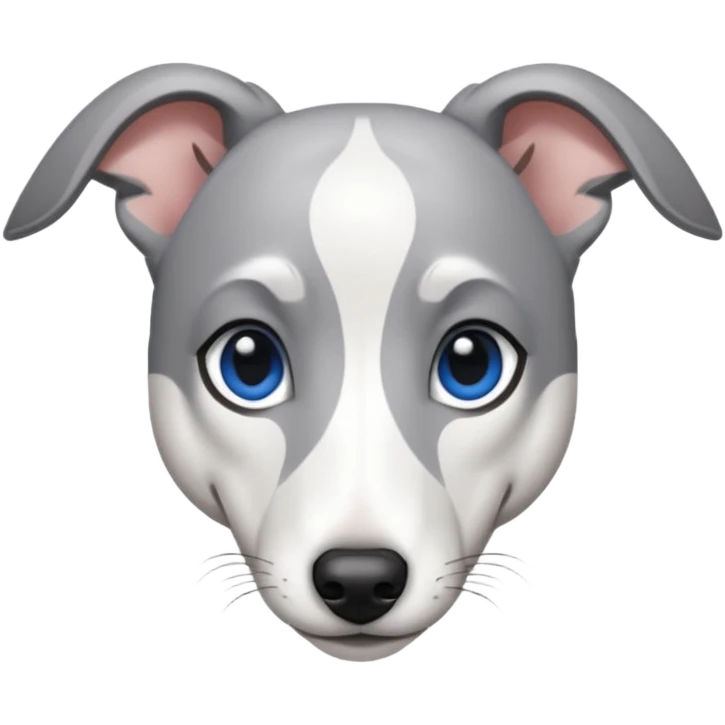 Grey and white whippet with blue eyed emoji