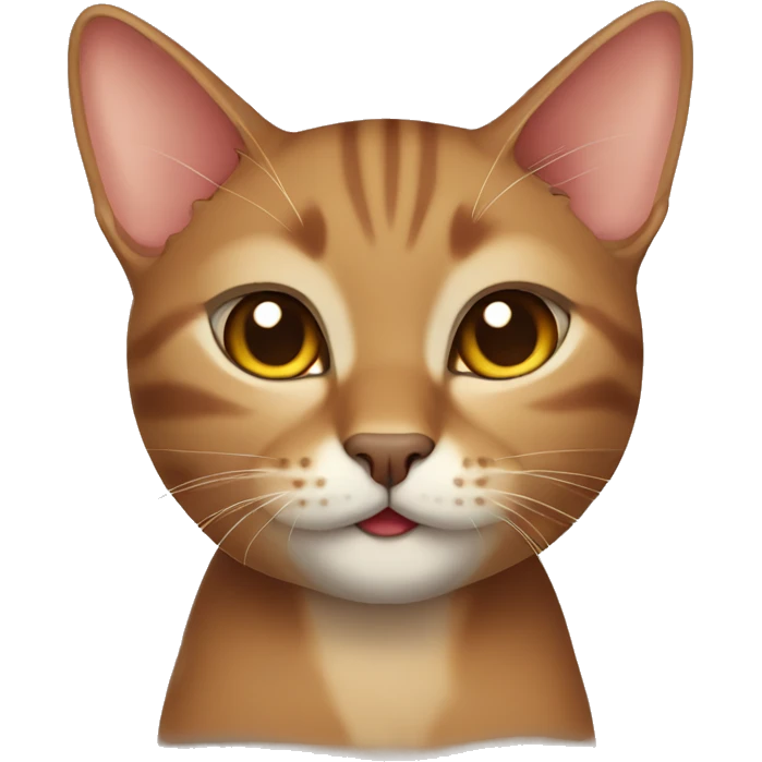 Oriental brown cat emoji