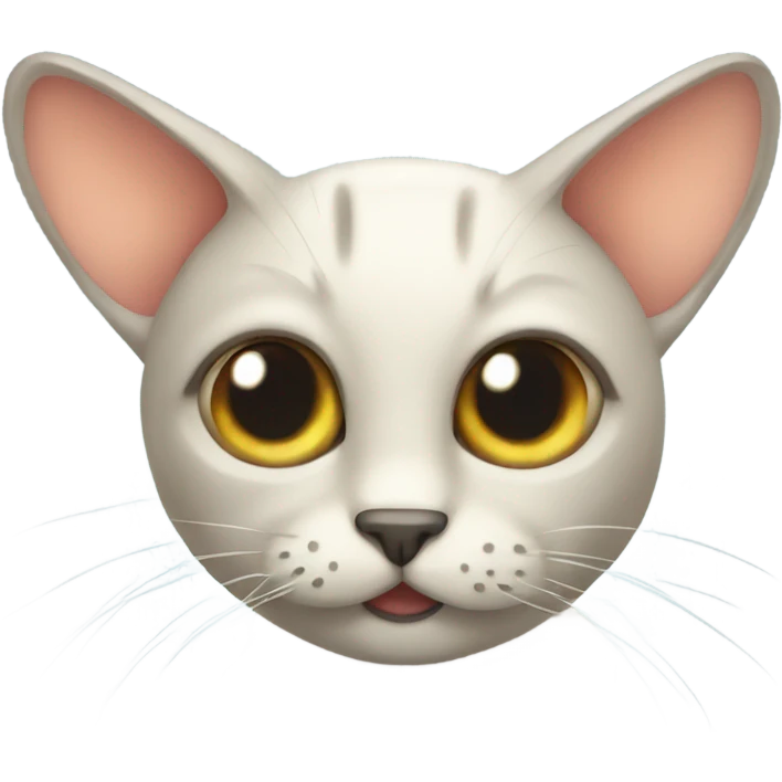 Fly cat emoji
