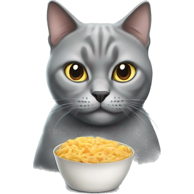 Hungry grey British cat emoji