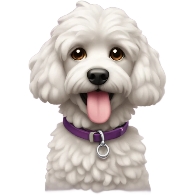 Caniche con su correa emoji