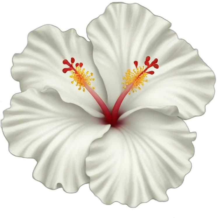 White Hibiscus emoji
