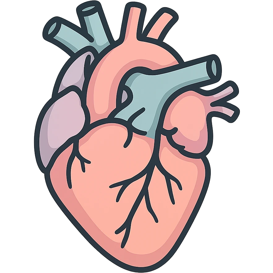 anatomical heart, icon-color-outlined style, thin clean contours, soft rounded shapes, pastel palette #98B5BC, #B5B3C1, #C9A3C9, #E4C0CA, #F7DCD1, #F7C0AA, detailed shadows and highlights, soft lighting, transparent background, no decoration, realistic shape emoji