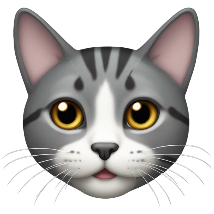 Dark Grey tabby cat with white nose and mouth  emoji