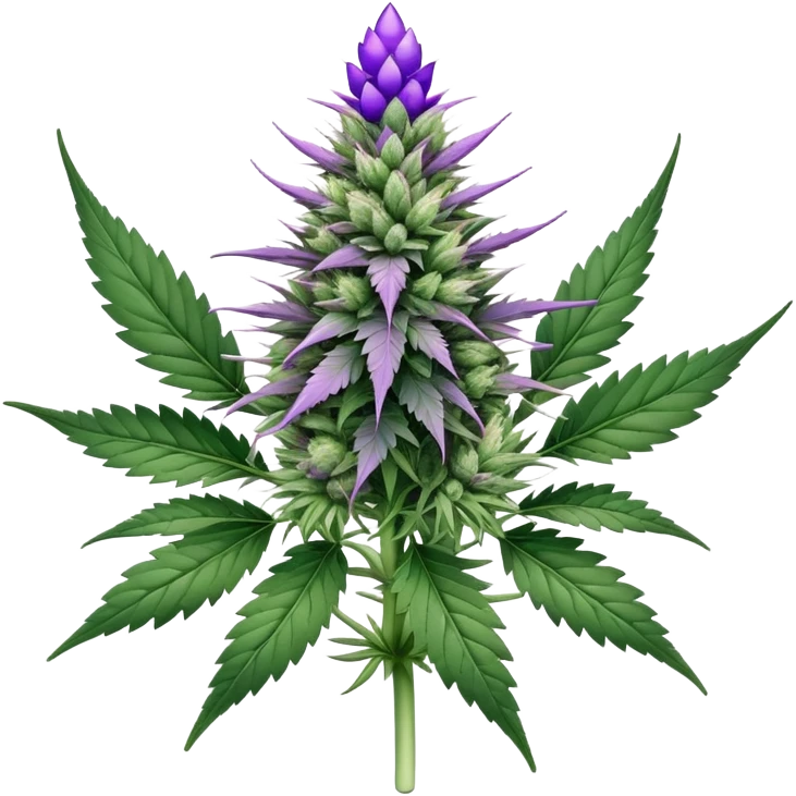 Cannabis plant with purple buds, crystal trichomes, and small wedding elements, wedding crasher strain emoji