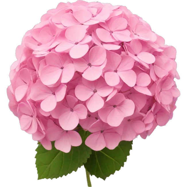 Pink hydrangea emoji