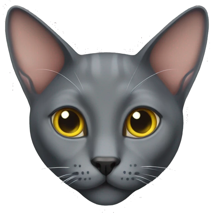Korat cat emoji