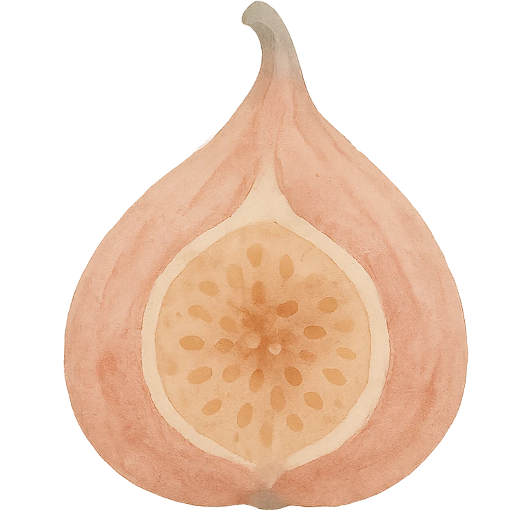 dried fig, soft and artistic watercolor emoji