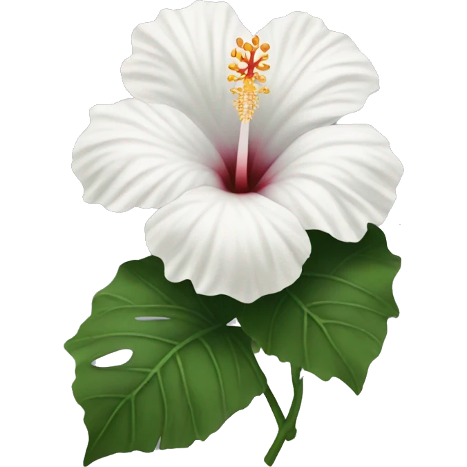 white hibiscus  emoji