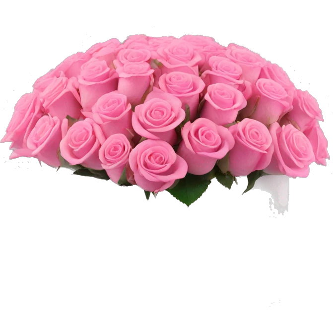 bouquet of pink 15 roses in a white box  emoji