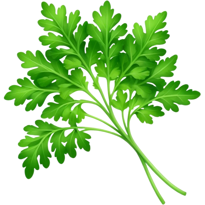 Cinematic Realistic Parsley Emoji, Fresh and vibrant, with bright green, frilly leaves that seem to shimmer with vitality. The plant exudes a sense of healthy growth and aromatic zest, inviting both beauty and flavor into any dish. Soft glowing outline, capturing the essence of freshness, health, and culinary delight in a sprig of parsley! emoji