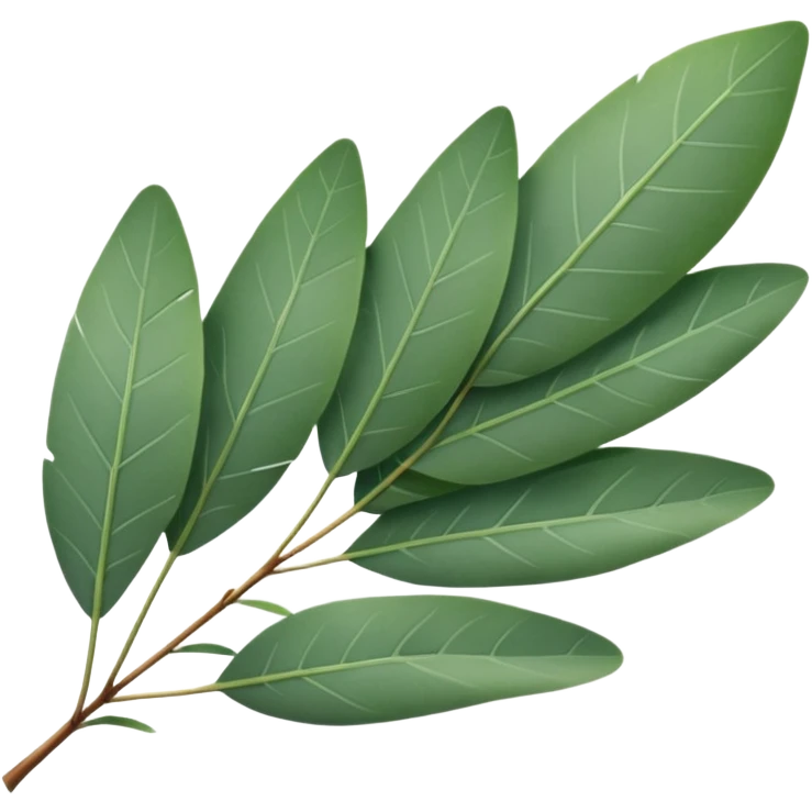 Eucalyptus leafs emoji