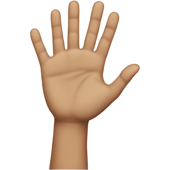 hand to hand emoji